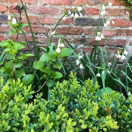 3 Summer House News * York