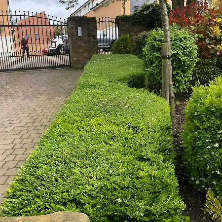 3 Summer House Mews Hébergement de vacances York
