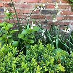 3 Summer House Mews * York