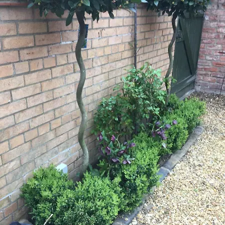 3 Summer House News *