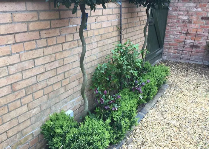 3 Summer House News *