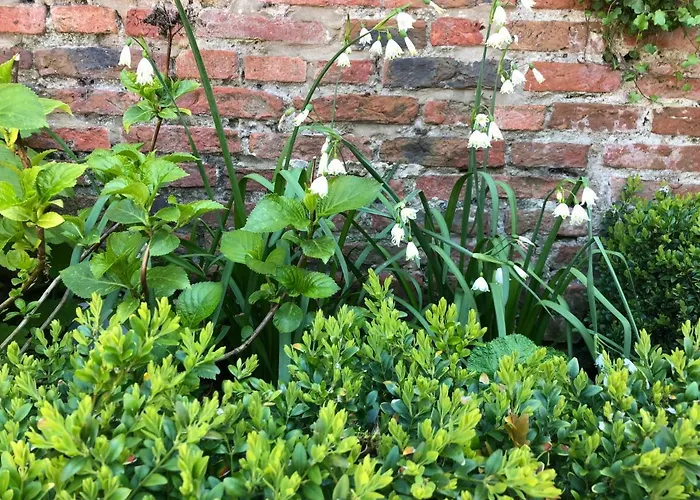 3 Summer House News * York