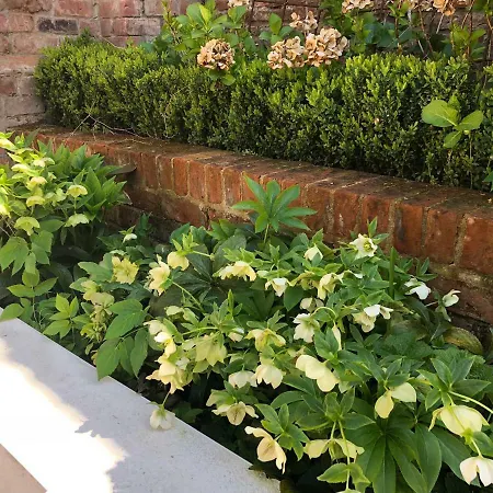 3 Summer House News *