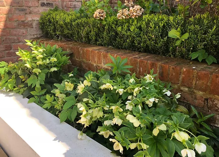 3 Summer House News *