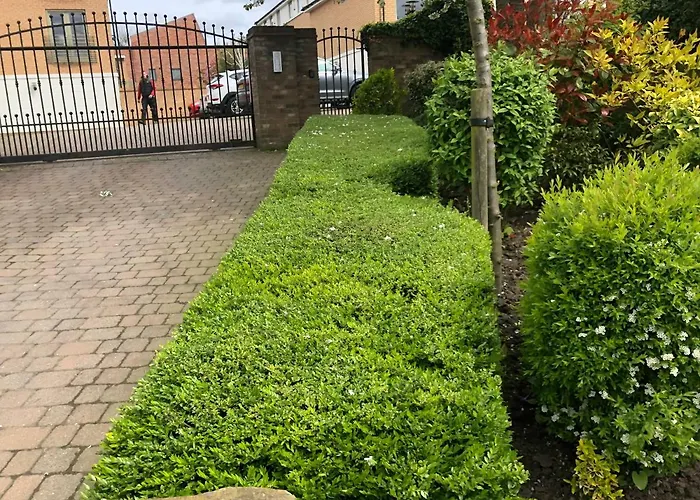 3 Summer House News Semesterbostad York